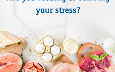 Are you feeding or starving your stress?