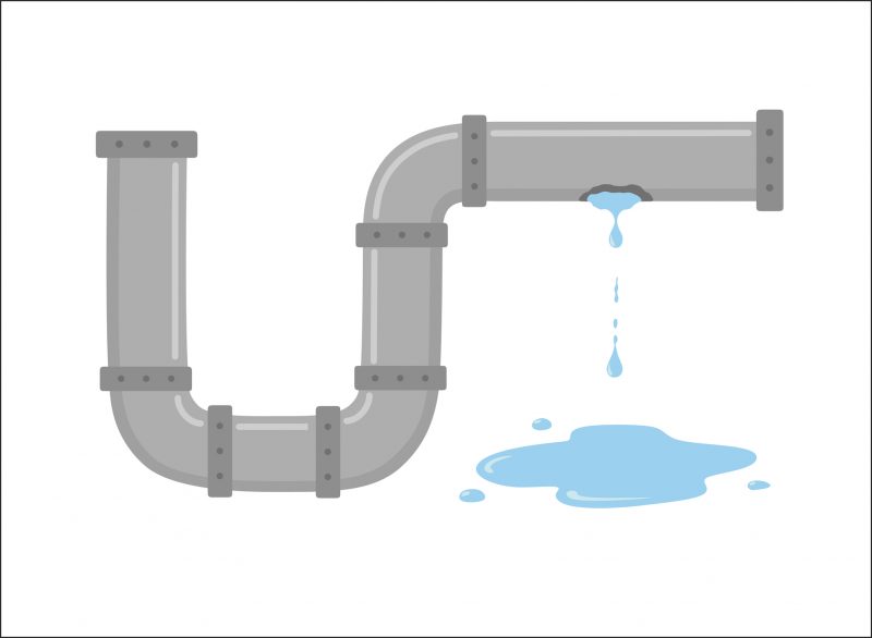 Is Your Gut Leaking?