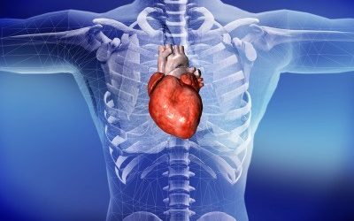 The Curious Connection: Heart disease and osteoporosis