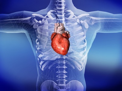 The Curious Connection: Heart disease and osteoporosis