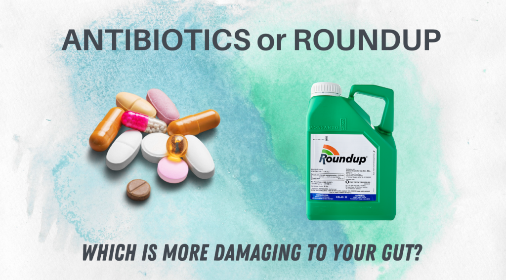 Antibiotics or Roundup: Which is more damaging to your gut?