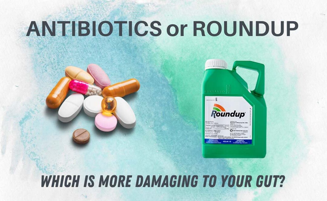 Antibiotics or Roundup: Which is more damaging to your gut?