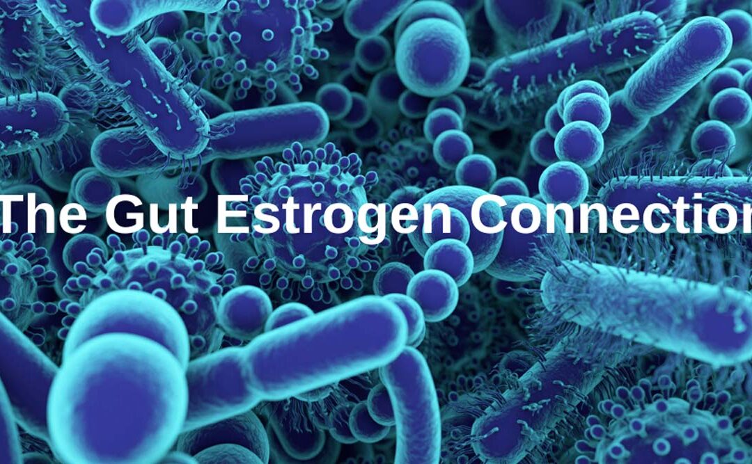 The Gut Estrogen Connection: How your Gut Impacts your Estrogen Levels