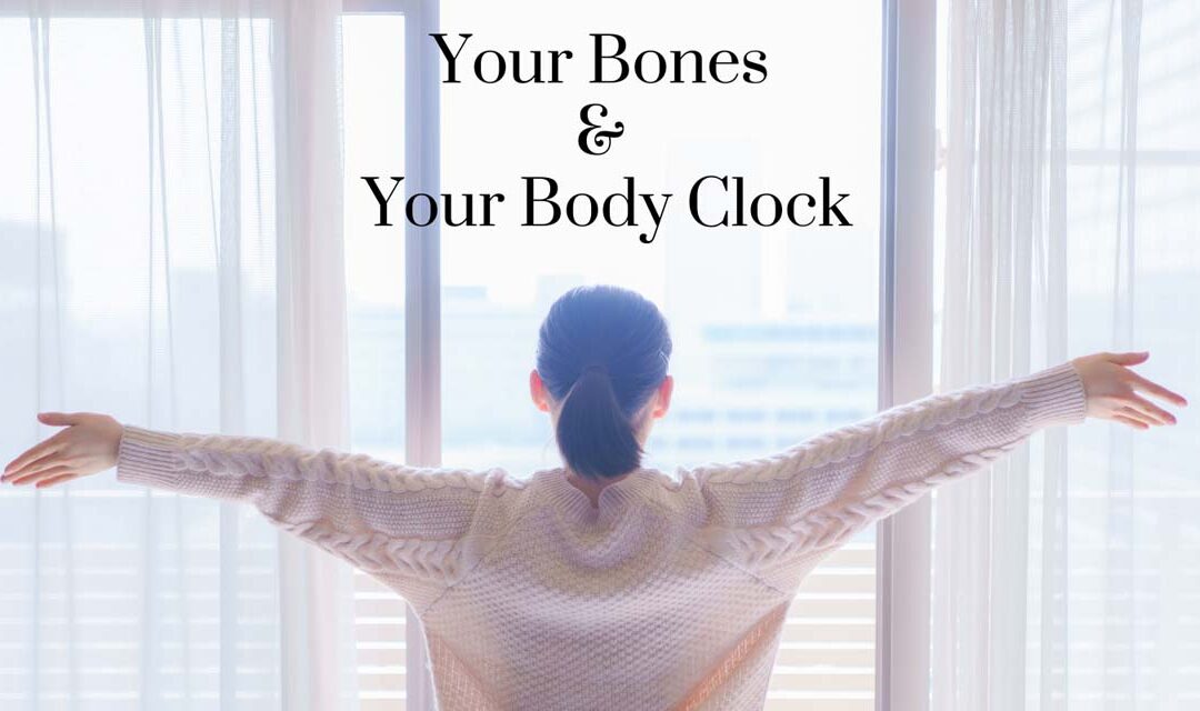 Your Bones and Your Body Clock
