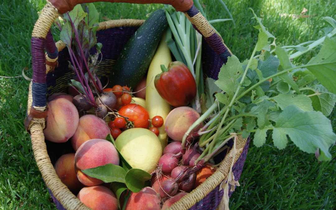 Why Spring Farmers’ Markets Are a Natural Boost for Gut and Bone Health